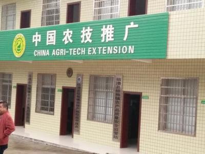 農業技術推廣總站與農業綜合執法大隊 選擇技術推廣服務的優勢分析